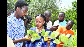 KYABAZINGA AND INHEBANTU VISIT KAYNELA FARMS LTD [upl. by Nauq691]