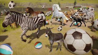 5 Horses VS 5 Zebras VS 5 Donkeys Animal Race in Planet Zoo at New Balls Obstacles Track  Herbivore [upl. by Marlette]