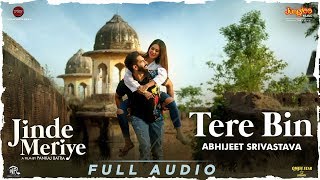 Parmish Verma Tere Bin Full AudioTroy Arif ft Abhijeet SrivastavaSonam B Pankaj BJinde Meriye [upl. by Chauncey239]