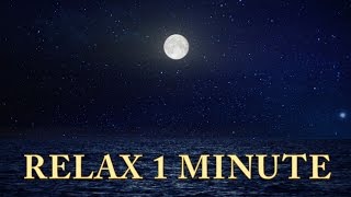 Relax 1 min  Sunset Ocean Moon  Relaxing Music [upl. by Herbert]