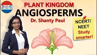 Angiosperms  Plant kingdom [upl. by Nhaj217]