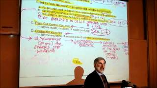 BIOLOGY CYTOLOGY PART 3 by Professor Fink [upl. by Franzen]