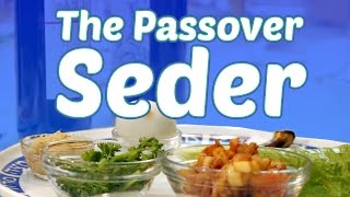 The Passover Seder What to Expect [upl. by Silvester]