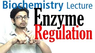 Enzyme regulation [upl. by Hazen663]