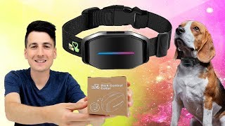 How To Make A Dog Stop Barking Dog Care Dog Bark Collar Review [upl. by Nus412]