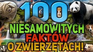 100 Zaskakujących Faktów o Zwierzętach [upl. by Atwekk]