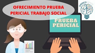 Ejemplo de Ofrecimiento Prueba Pericial Trabajo Social [upl. by Culley625]