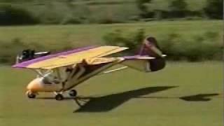 Weedhopper single place part 103 legal ultralight aircraft [upl. by Hannaj267]