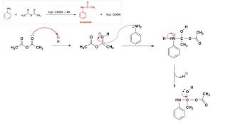 Acetanilide Preparation Mechanism [upl. by Riella]