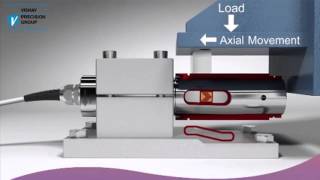 A Better Load Cell Design for Tough Process Weighing Applications [upl. by Leanahtan243]