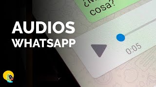 😎10 consejos y TRUCOS para los AUDIOS DE WHATSAPP😎 [upl. by Ludmilla]