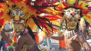 Cancion del carnaval de Barranquilla  Checo Acosta [upl. by Ecirb]