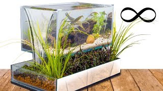 Upflow Overflow Infinity Bog Filtered Shrimp Aquascape [upl. by Narda]