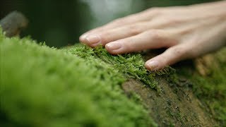 Spür die Natur Das schönste Gefühl ► VILSA [upl. by Georgia]