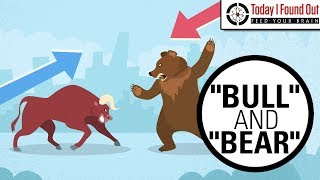 Why are Bull and Bear Markets Called That [upl. by Raf474]