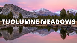 Tuolumne Meadows Hike [upl. by Linnette]