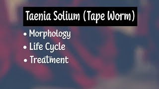 Taenia Solium Morphology Life Cycle Treatment [upl. by Stclair]