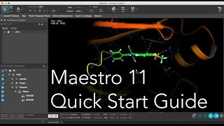 Maestro  Quick Start Guide outdated [upl. by Senior]