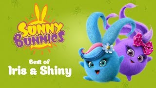 SUNNY BUNNIES  Iris and Shinys Top 10 Funniest Moments  Cartoons for Children [upl. by Salis]