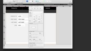 How To Use FileMaker Pro 16  Part 2 [upl. by Panthea]