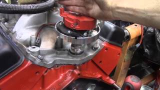 How to Install A distributor in a 350 Chevy [upl. by Lah]