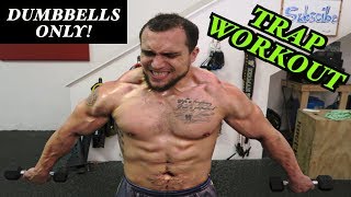 Intense 5 Minute Dumbbell Trap Workout 2 [upl. by Handel]