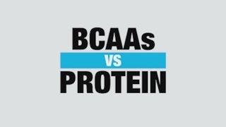 BCAA Supplement vs Protein Supplement  Know Your Supps  BPI Sports [upl. by Delila]