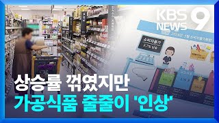 물가 상승률 2대 둔화 흐름…‘가공식품’ 인상에 물가 부담 여전 9시 뉴스  KBS 20240604 [upl. by Courcy547]