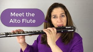 Meet the Alto Flute [upl. by Alidis]