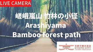 【LIVE】京都 嵯峨嵐山 竹林の小径ライブ中継カメラ（京都市観光協会公式）／Bamboo forest path Kyoto Live camera [upl. by Lemak648]