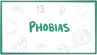 Phobias  specific phobias agoraphobia amp social phobia [upl. by Quintana627]