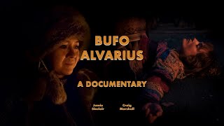 Bufo Alvarius  A Short Documentary Film [upl. by Goldina789]