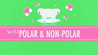 Polar amp NonPolar Molecules Crash Course Chemistry 23 [upl. by Arraes]