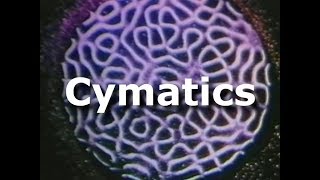 Cymatics full documentary part 1 of 4 Bringing matter to life with sound [upl. by Erdei]