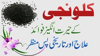 Kalonji Seed Benefits Ilaj aur Fawaid in Urdu Hindi  Health Tips [upl. by Aduhey336]