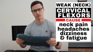 How to Strengthen your DEEP Neck Cervical Flexors [upl. by Narih]