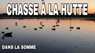 Chasse à la hutte  Dans la Somme [upl. by Kornher]