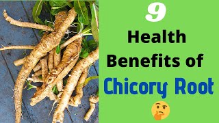 The 9 Health Benefits of Chicory Root 🌱 [upl. by Yentnuoc]