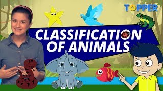 Classification of Animals  Class 1 to 5 [upl. by Airehc]