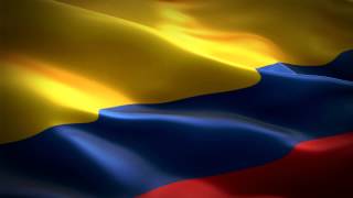 Bandera Colombia HD  Loop [upl. by Serg292]