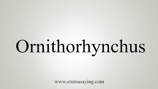 How To Say Ornithorhynchus [upl. by Nugesulo]