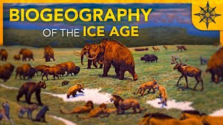 The BIOGEOGRAPHY of the Ice Age [upl. by Maegan507]