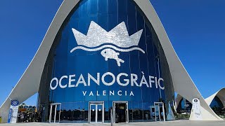 Oceanografic Valencia Full Tour 4K [upl. by Sherwynd913]