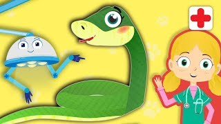 Sally The Snake Visits Dr Poppys Pet Rescue  Animals For Toddlers [upl. by Ainiger]