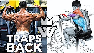 11 Exercises for Monster Traps amp Back Workout [upl. by Sharron]