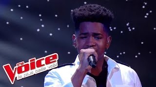 Lisandro Cuxi  « Si seulement je pouvais lui manquer » Calogero  The Voice 2017  Live [upl. by Betty492]