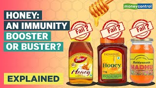 Honey Adulteration Scam Explained  Its Origins And What It Means For You [upl. by Chrissie]