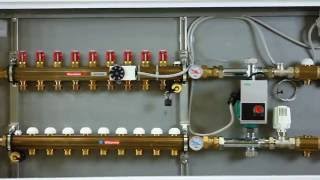 calcarea carb drug picture part 1  all the key notes of calcareaviral homoeopathymateriamedica [upl. by Melisa]