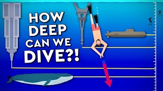 What Is The DEEPEST A Human Can DIVE Debunked [upl. by Enialem]