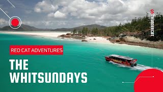 The Whitsundays  Day trip to Whitehaven Beach on Thundercat [upl. by Hanan17]